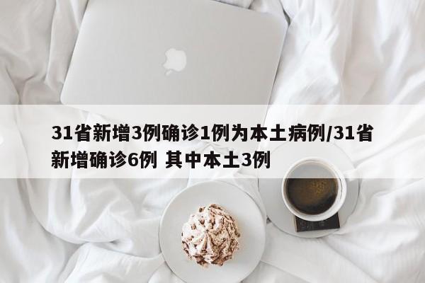 31省新增3例确诊1例为本土病例/31省新增确诊6例 其中本土3例