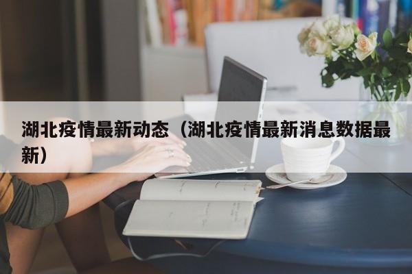 湖北疫情最新动态(湖北疫情最新消息数据最新)